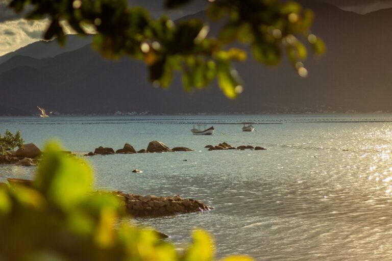 cassiano-psomas-VpVK9tQNhSY-unsplash